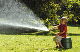 Regenwassernutzung wird immer beliebter - BILD  =
