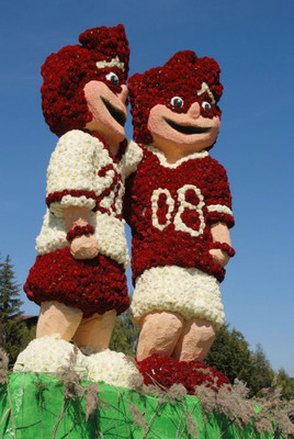 Traditionelles Seefelder Blumencorso gibt Vorgeschmack auf die
Fußball EM - BILD