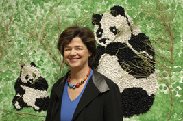 Österreichische Lotterien fördern Panda-Projekt