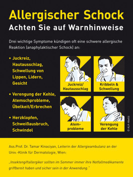 Sommer, Sonne, Wespenplage - BILD