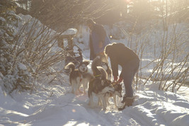 Am Wilden Kaiser werden Wintermärchen wahr - BILD