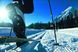 Langlaufparadies Tirol im Internet - BILD