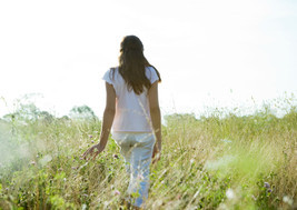 Der neue Naturidyll Katalog ist da - BILD