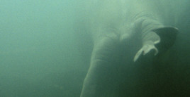 Julie Hayward 'abtauchen/auftauchen': Permanente Installation in der



Passage Löwengasse (zwischen Donaukanal und Löwengasse), 1030 Wien -



BILD