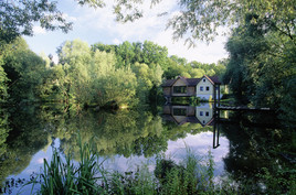 Naturidyll Hotels - eine Hotelkooperation am Puls der Zeit