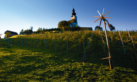 Wein aus Kärnten - Ein (noch) kulinarischer Geheimtipp aus Österreichs südlichstem Bundesland =