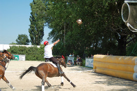Österreichische Staatsmeisterschaft in Horse-Ball!
