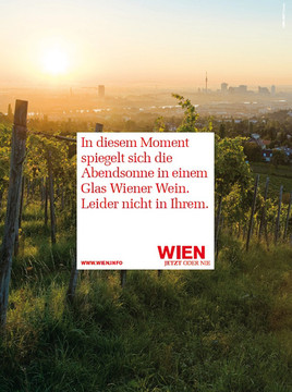 Neue Werbelinie des WienTourismus: 'Wien - jetzt oder nie' - BILD  =
