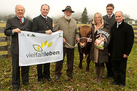 Ja! natürlich Zum Ersten, zum Zweiten, zum Dritten! - Der begehrteste Elitestier
geht an Ja! Natürlich - BILD