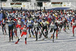 Im Loipen-Fluss - SKI-TRAIL Tannheimer Tal - Bad Hindelang - BILD