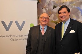 Die österreichische Versicherungswirtschaft 2009: Erfolgreiche Branche in schwierigem Umfeld