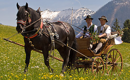 3. Abtenauer Pferdekutschengala - BILD