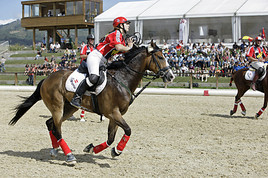 Horse-Ball-Turnier in Wels!