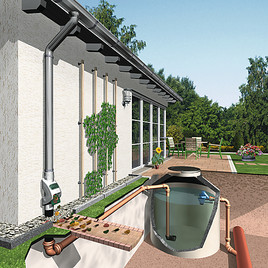 Regenwasser marsch! - BILD  =
