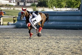 Horse-Ball-Turnier in Ebreichsdorf!