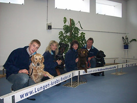 Hunde riechen KREBS