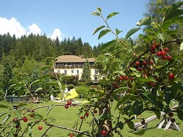 Naturnahes Urlauben in den Naturidyll Hotels - ein neues Mitglied mit Furore!