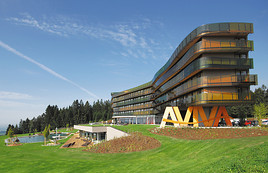 AVIVA wird 3 Jahre alt und erreicht bereits 80% Jahresauslastung -
BILD
