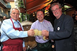 Traditionelles Sturmfest im Margaretener Schlossquadrat - BILD