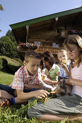 Alpen in Sicht - Höfe bieten 'Zuckerl'