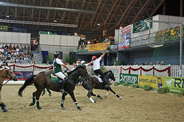 Österreichische Staatsmeisterschaft in Horse-Ball!