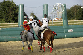 Horse-Ball Qualifikationsspiele für die EM 2011!