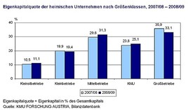 Eigenkapitalquote der österreichischen Wirtschaft - BILD