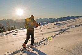 Preview OBS_20110112_OBS0014