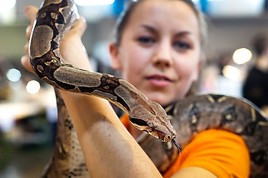 EXOTICA Veranstaltungen EXOTICA Reptilienmesse St. Pölten - Abschlussbericht - BILD