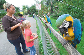 Kärntens Seen feiern Sommeropenings