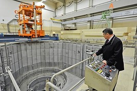 Der Überlebende von Tschernobyl in Zwentendorf - BILD