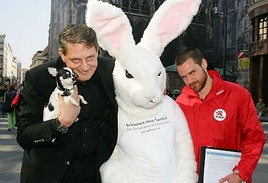 VIER PFOTEN-Infostand voller Erfolg: Hunderte Menschen unterschrieben
Petition gegen Tierversuche in der Kosmetik - BILD