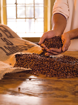 Kraft Foods will für alle Kaffeemarken in Europa auf 100%
nachhaltigen Kaffeeanbau setzen - ANHÄNGE
