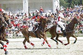 Horse-Ball-Turnier in Wien!