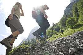 DACHSTEIN bewegt - BILD  =
