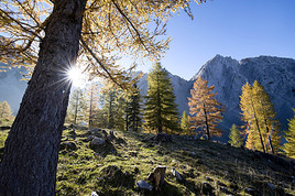 Kuscheln und Käse, Kraft und Kultur. Kärnten lädt zu herbstlichen
Touren auf der Alpensüdseite!  - BILD  =
