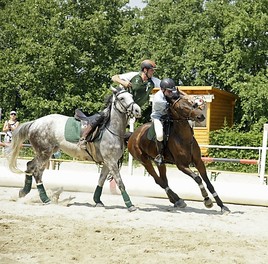 Horse-Ball-Turnier in Gallneukirchen!