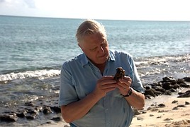 ServusTV-Tipp: Erstausstrahlung im deutschsprachigen Raum - 'Terra Mater - Der Ursprung des Lebens' (1/2) - Die ersten Pioniere
