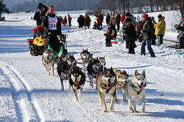 4. Internationales Schlittenhunderennen: 17./18. Dezember 2011