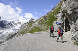 'Themenwege des Jahres 2011': Gamsgrubenweg und Pasterzenweg an der Großglockner Hochalpenstraße ausgezeichnet =
