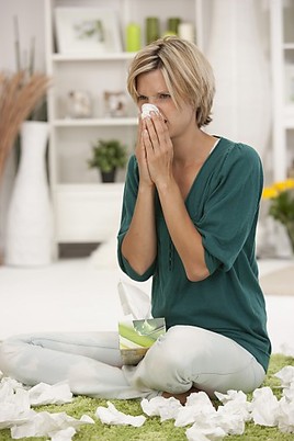 Oberstes Gebot bei Sinusitis und Bronchitis: Der Schleim muss raus! -
BILD