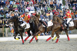 Horse-Ball Länderspiel Österreich vs. Deutschland!