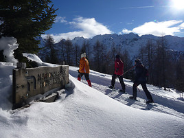 Schneeschuh-Test-Tage vom 20.-22. Januar 2012 - BILD