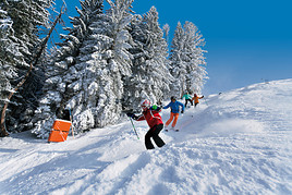 Pisten, Parks und Buckel - Gaudi pur in der Skiregion Dachstein West
- BILD