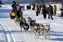 4. Internationales Schlittenhunderennen: 04./05. Februar 2012