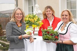 REWE International AG Gelebte Vielfalt bei Ja! Natürlich: Bio-Gartensortiment und Bio-Gartenworkshops