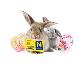 BILD zu TP/OTS - Hase mit CARD