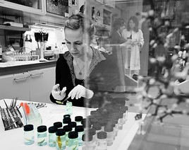 BILD zu OTS - Lange Nacht der Forschung - DNA-Labor im Naturhistorischen Museum
