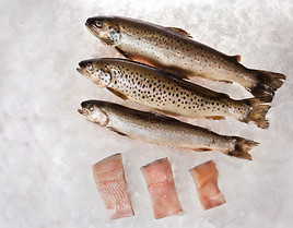 Gesunder und nachhaltiger Bio-Fischgenuss aus Österreich