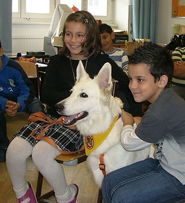 In Österreich kommen Schulen jetzt auf den Hund